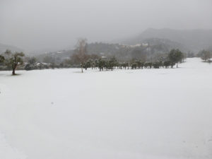 2012_Garlenda_Under_Snow_01