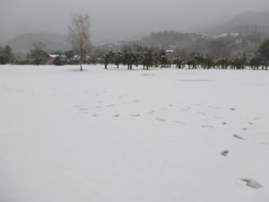 2012_Garlenda_Under_Snow_02